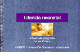 Ictericia neonatal por hiperbilirubinemia no conjugada