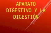 Aparato digestivo - Ariel Lujan Vargas