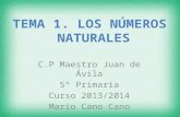 Tema 1: Los números naturales