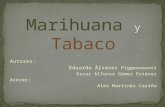 Marihuana y tabaco