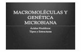 macromoléculas y genética microbiana