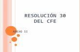 resolución 30  CFE anexo II