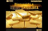 Presentacion emgoldex golden principal web page