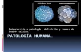 Lesión celular-Patología