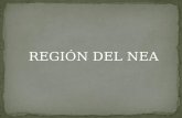 Región del NEA