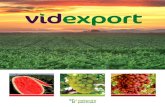 Videxport Magazine (English and Española Combined)