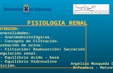 Fisiologia renal (11 6-09)