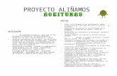 Proyecto AliñAmos Aceitunas