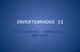 Invertebrados(II)anelidos,platelmintos y nematodos