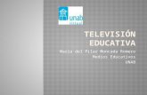 Televisión educativa