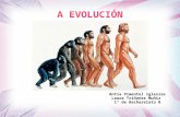 A Evolucion
