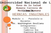 PARED ABDOMINAL: Hernias Región Inguino Crural