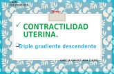 Contractilidad uterina