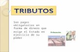 Tributos y presupuesto_publico2003