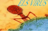04   els virus