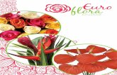Euroflorabcn Bouquets de Rosas y Flores de Ecuador