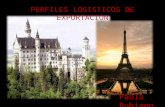 Perfil de logistica desde colombia hacia francia