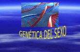 Biologia genética 2 blog