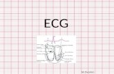 Cardio  seminario 2 (ecg)
