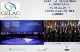 Presentación del plan de Seguridad Alimentaria y Nutricional para América Latina y el Caribe. CELAC - FAO – ALADI.