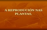Tema 5 .a reprodución nas plantas.