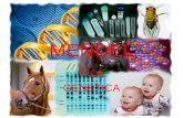Mendel y la genética