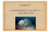 Unidad V Excreción y Osmorregulación