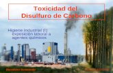 Toxicología del disulfuro de carbono