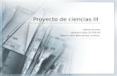 Jabones de Avena Proyecto III Ciencias.