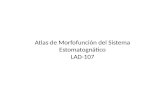 Atlas de morfofunción del sistema estomatognático