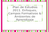 Plan de estudios 2011 (1)