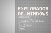 Explorador de windows