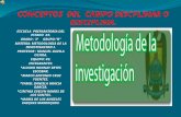 Metodologia de la investigacion.
