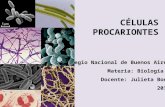 Células Procariontes CNBA 2015
