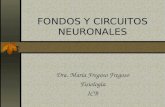 Fondos Y Circuitos Neuronales  Mary