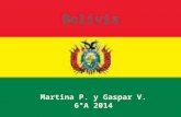 Bolivia viere y piotti