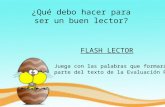 Flash Lector