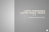 Lizeth fernanda castro 7.1