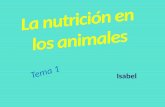 La nutrición en los animales. tema 1