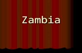 Presentation 1 estefania zambia