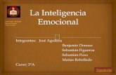 La inteligencia emocional