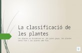 La classificació de les plantes