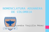 Nomenclatura aduanera de colombia