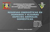 Reservas energéticas en humanos y algunas especies animales