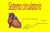 Sistema  circulatorio