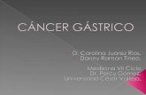 Cancer Gastrico, evidencia en Rx