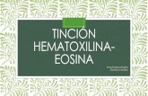 Tinción hematoxilina-eosina