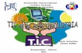 Mapa mental TIC en la Agroindustria