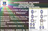 Universidad yacambu=reproducción celular slideshare