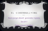 Jorge gonzalez 801ciberbulling